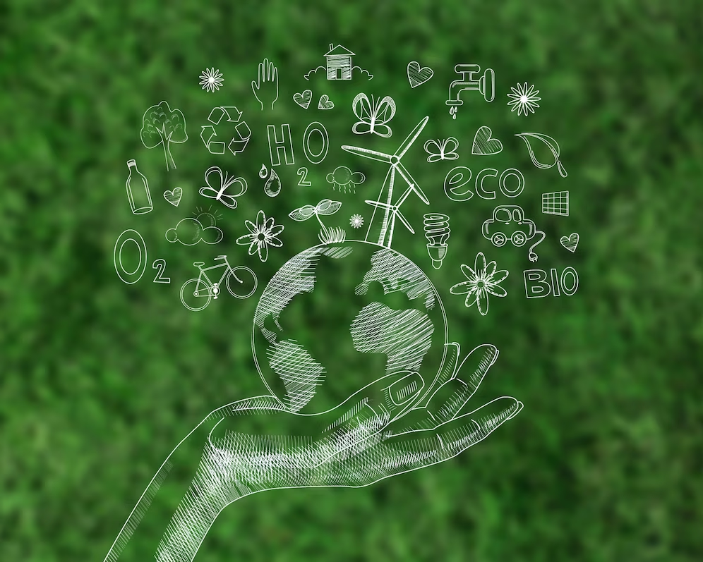 Green IT and Sustainable Data Strategy